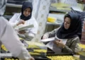یارانه معیشتی جدید مخصوص این افراد + شرایط دریافت یارانه معیشتی جدید مخصوص این افراد + شرایط دریافت
