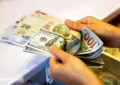 خبر فوری درباره سقوط آزاد قیمت دلار در بازار آزاد خبر فوری درباره سقوط آزاد قیمت دلار در بازار آزاد