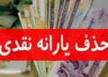 حذف یارانه معیشتی این دهک ها تا پایان اسفند ۱۴۰۳ رسما تایید شد