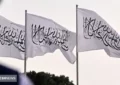 شغل‌ های طلایی تهران در چنگ افغانی ها | کارگران ایرانی راهی عراق شدند