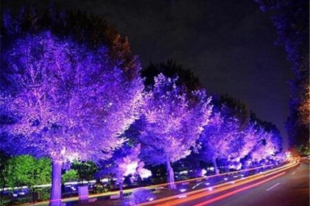 نورهای نوروزی خواب درختان بلوار کشاورز را گرفت