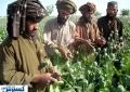 اخراج افغان‌ها برای ایران شر شد !
