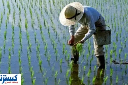 جزییات واریز مستمری مرداد صندوق بیمه اجتماعی اعلام شد