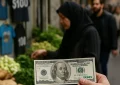قیمت دلار آزاد باز هم صعودی شد | جدول ۱۹ مرداد