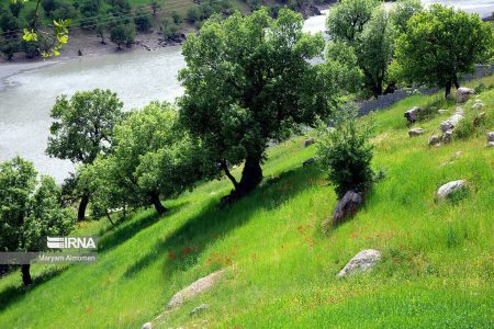 چندپاره شدن سازمان منابع طبیعی پیامدی جز تخریب سرزمین ندارد