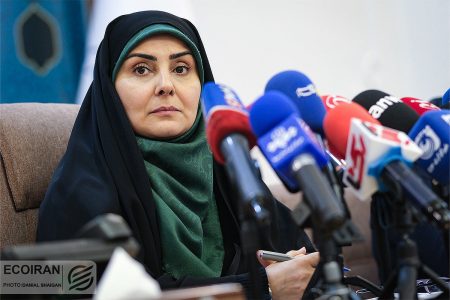 چه تعداد از زائران ایرانی از مراسم اربعین بازگشتند؟