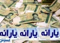 یارانه نقدی باید مشروط شود