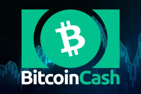 بیت‌ کوین‌ کش با جهش ۴۰ درصدی بهترین دارایی لایه‌یک سال شد