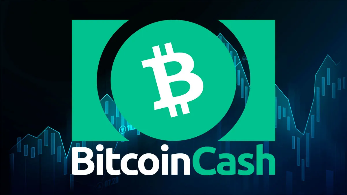 بیت‌ کوین‌ کش با جهش ۴۰ درصدی بهترین دارایی لایه‌یک سال شد