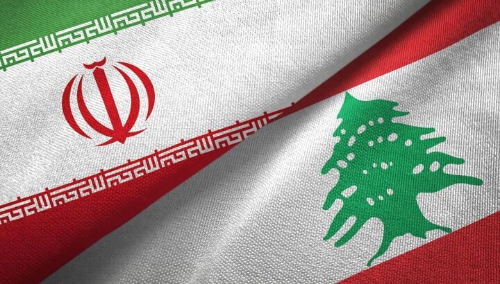 وزرای بهداشت ایران و لبنان در ژنو دیدار و گفتگو کردند