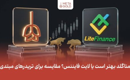متاگلد بهتر است یا لایت فایننس؟ مقایسه برای تریدرهای مبتدی