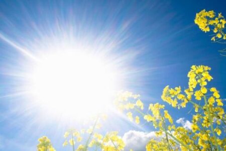 ماجرای ضدآفتاب های خوراکی!