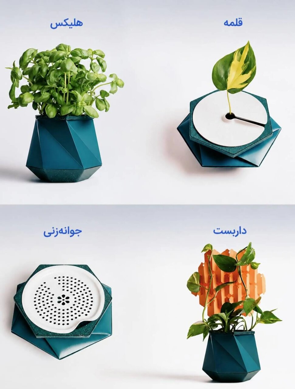 گلدانی که همراه با گیاه رشد می‌کند / عکس