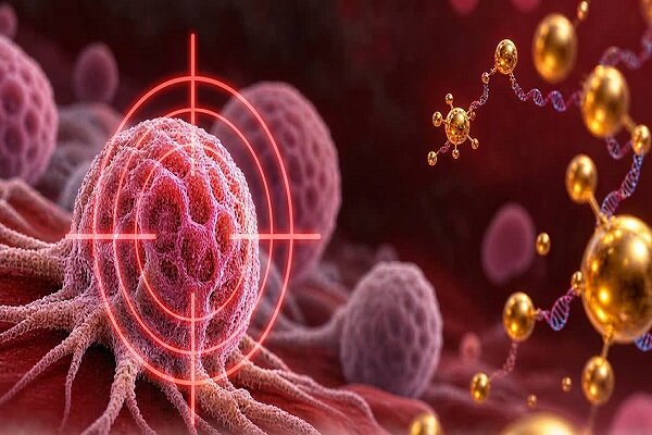 تاثیر مکملهای آرژنین بر شناسایی سلولهای سرطانی تاثیر مکملهای آرژنین بر شناسایی سلولهای سرطانی