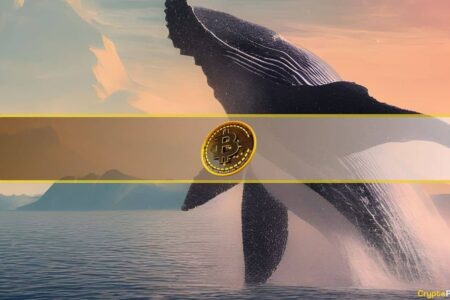 یک نهنگ خفته ۳۸۰ میلیون دلار بیت را منتقل کرد