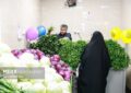 الزامات سبزی خوردن بسته‌بندی اعلام شد
